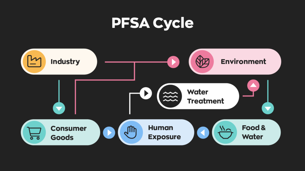 A Diagram of the PFSA Cycle. Industry puts PFSA into consumer good and the environment. Consumer goods contaminate humans. The environment contaminates food and water which also contaminates humans. Humans then contaminate water treatment facilities and water treatment facilities contaminate the environment. 